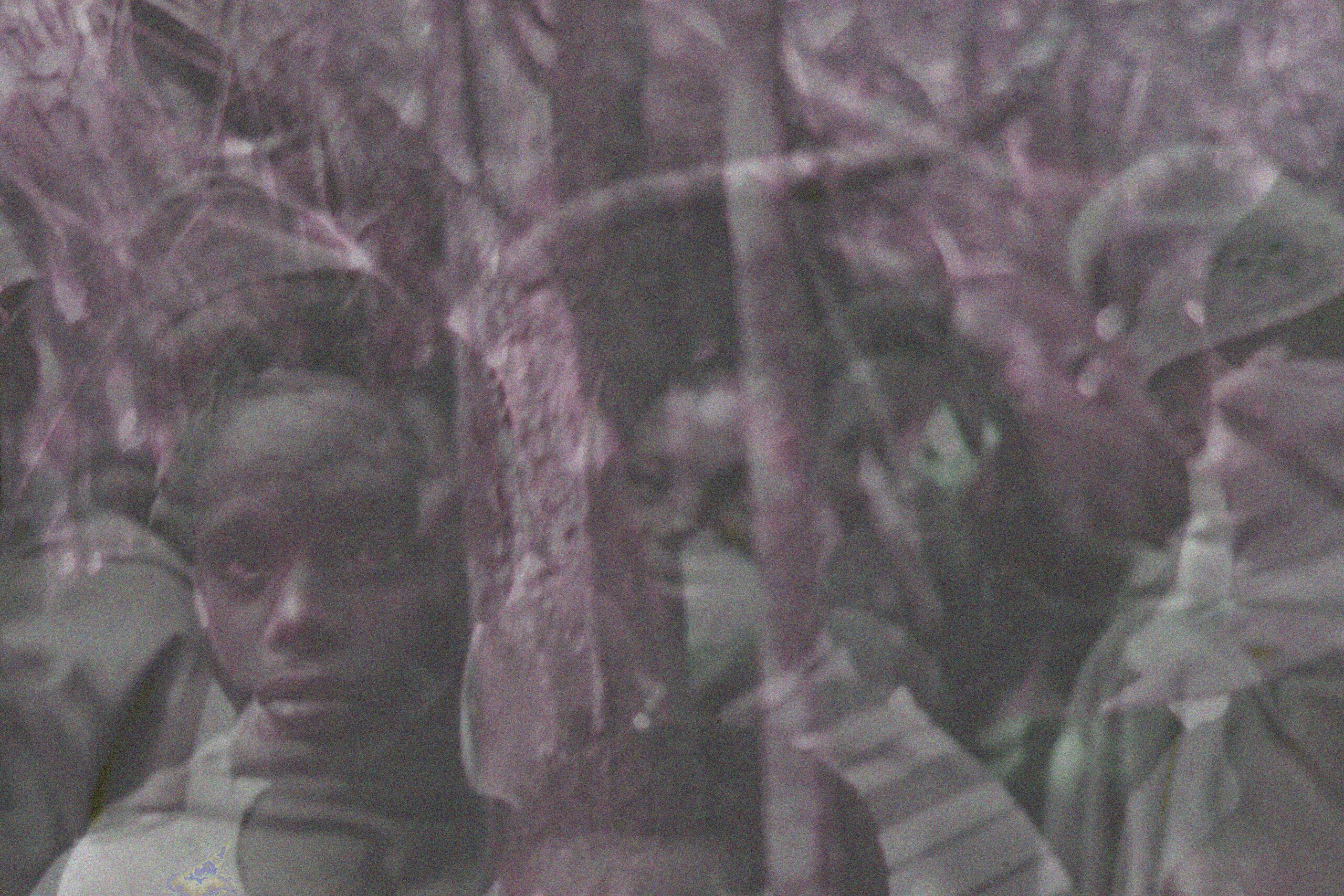 051 Students at jungle school